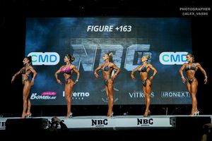 FIGURE +163